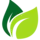Prolific Development Logo
